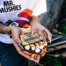mr mushies